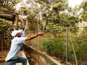 Servidores del Minea participaron durante la liberación de las 7 Guacharacas rescatadas