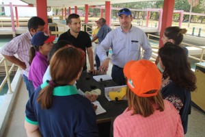 HIDROLAGO Y LA CORPORACIÓN ANDINA DE FOMENTO PARA REHABILITACIÓN DE PLANTA C (1)