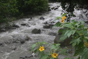 IMG_8399