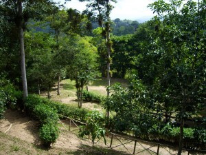 Parque-3