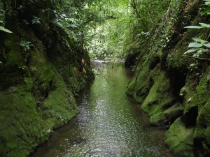 Río San Esteban (2)