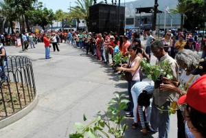 Se colocaron 1.200 plantas. (Foto / Isaac Batista)