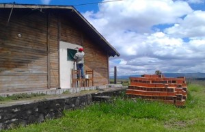remozado3