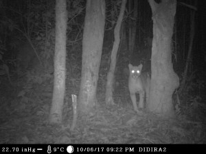 0074INFORMATION_STRIP_ON__TAG 22.70 inHg 9"C  10/06/17 09:22 PM  DIDIRA2